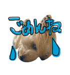 愛犬リズムの気持ち。vol.2（個別スタンプ：3）