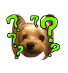 愛犬リズムの気持ち。vol.2（個別スタンプ：4）