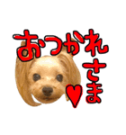 愛犬リズムの気持ち。vol.2（個別スタンプ：8）