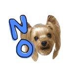 愛犬リズムの気持ち。vol.2（個別スタンプ：9）