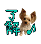 愛犬リズムの気持ち。vol.2（個別スタンプ：12）