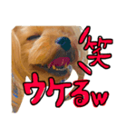 愛犬リズムの気持ち。vol.2（個別スタンプ：14）
