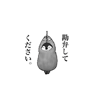 謝りペンギン（個別スタンプ：1）