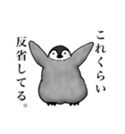 謝りペンギン（個別スタンプ：2）