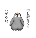 謝りペンギン（個別スタンプ：5）