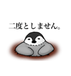 謝りペンギン（個別スタンプ：6）