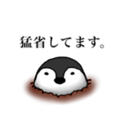 謝りペンギン（個別スタンプ：7）