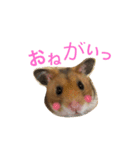 はむはむの日常（個別スタンプ：3）