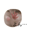 はむはむの日常（個別スタンプ：6）