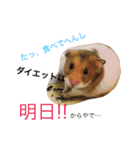 はむはむの日常（個別スタンプ：9）