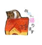 はむはむの日常（個別スタンプ：16）
