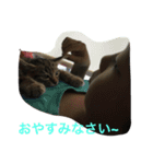 家の主役（個別スタンプ：13）