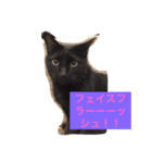 ニアハピゴンアルからのメッセージ（個別スタンプ：6）