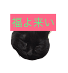 ニアハピゴンアルからのメッセージ（個別スタンプ：7）