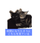ニアハピゴンアルからのメッセージ（個別スタンプ：8）
