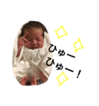 アルベルそうた（個別スタンプ：11）