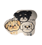 犬1228（個別スタンプ：6）