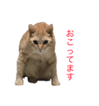 はくとゆき（個別スタンプ：1）