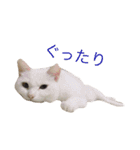 はくとゆき（個別スタンプ：10）