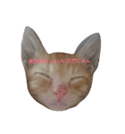 もふにゃんず（個別スタンプ：4）