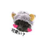 雪見大福.2（個別スタンプ：2）