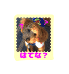 stamp style fusuke of toy-poo（個別スタンプ：7）