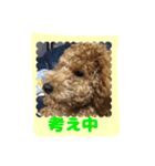 stamp style fusuke of toy-poo（個別スタンプ：11）