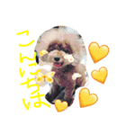 松野家のかわいい犬と猫（個別スタンプ：2）