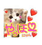 松野家のかわいい犬と猫（個別スタンプ：4）