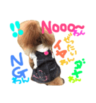 松野家のかわいい犬と猫（個別スタンプ：7）