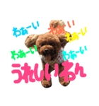 松野家のかわいい犬と猫（個別スタンプ：11）