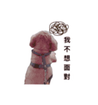 FEFE DOG（個別スタンプ：7）