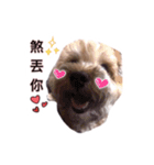 FEFE DOG（個別スタンプ：10）