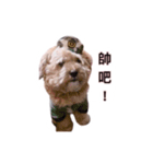 FEFE DOG（個別スタンプ：16）