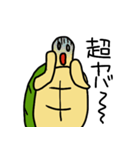 J君のかめスタンプ（個別スタンプ：7）