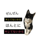 かもめときなこ（個別スタンプ：6）