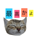 かもめときなこ（個別スタンプ：8）