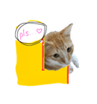 Meow~(=^.^=)（個別スタンプ：8）