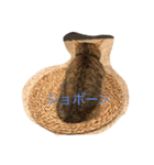 マンチカンのにゃあにゃ（個別スタンプ：9）