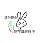 Rabbit 0（個別スタンプ：1）