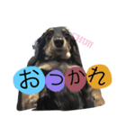 サスケの日常2（個別スタンプ：8）