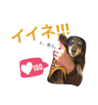 サスケの日常2（個別スタンプ：12）