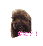 もこみのぼやき（個別スタンプ：1）
