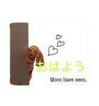 もこみのぼやき（個別スタンプ：5）