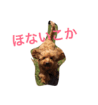 もこみのぼやき（個別スタンプ：7）
