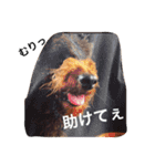 もこみのぼやき（個別スタンプ：10）
