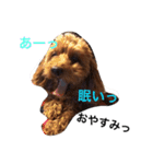 もこみのぼやき（個別スタンプ：13）