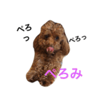 もこみのぼやき（個別スタンプ：14）