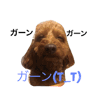 もこみのぼやき（個別スタンプ：15）
