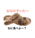 もこみのぼやき（個別スタンプ：23）